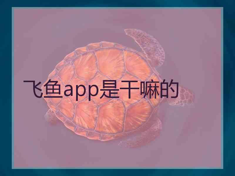 飞鱼app是干嘛的