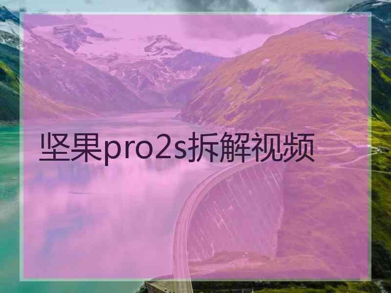 坚果pro2s拆解视频