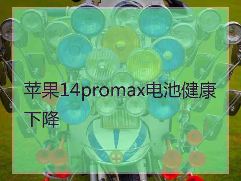 苹果14promax电池健康下降