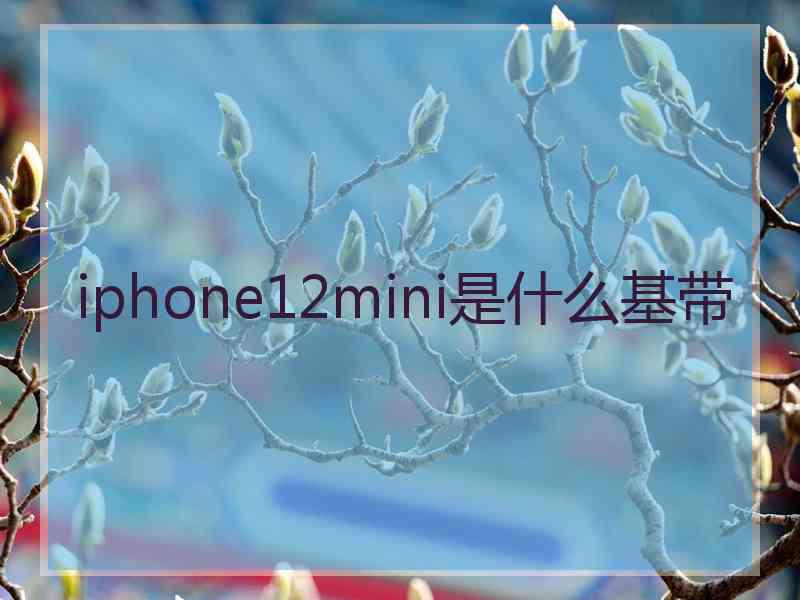 iphone12mini是什么基带