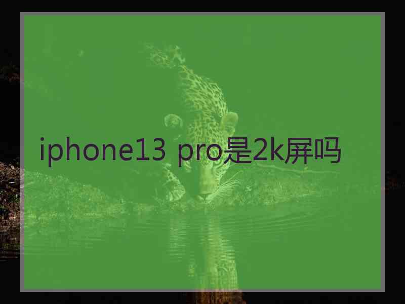 iphone13 pro是2k屏吗