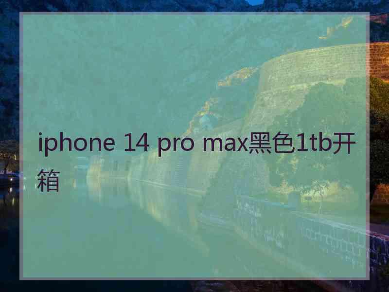 iphone 14 pro max黑色1tb开箱