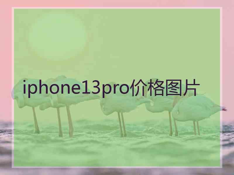 iphone13pro价格图片