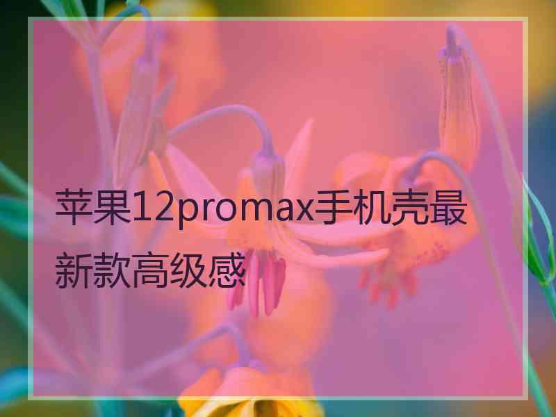 苹果12promax手机壳最新款高级感