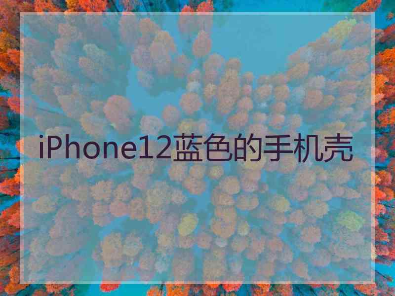 iPhone12蓝色的手机壳