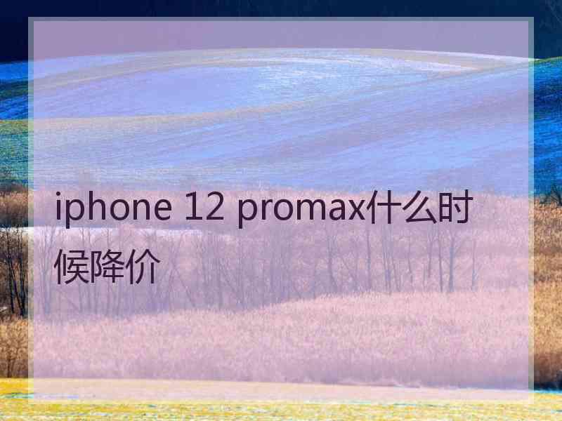 iphone 12 promax什么时候降价