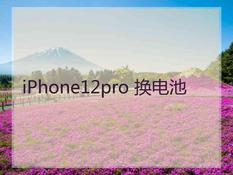 iPhone12pro 换电池