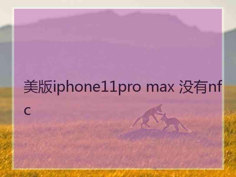 美版iphone11pro max 没有nfc