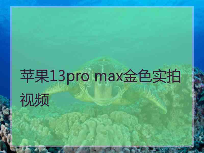 苹果13pro max金色实拍视频