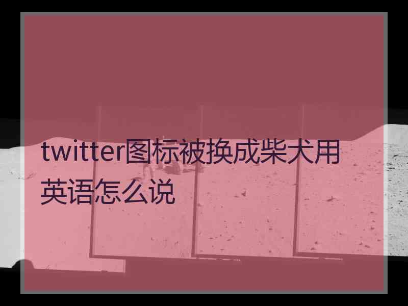 twitter图标被换成柴犬用英语怎么说