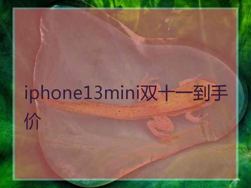 iphone13mini双十一到手价