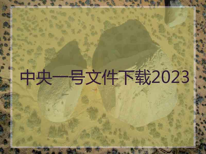 中央一号文件下载2023