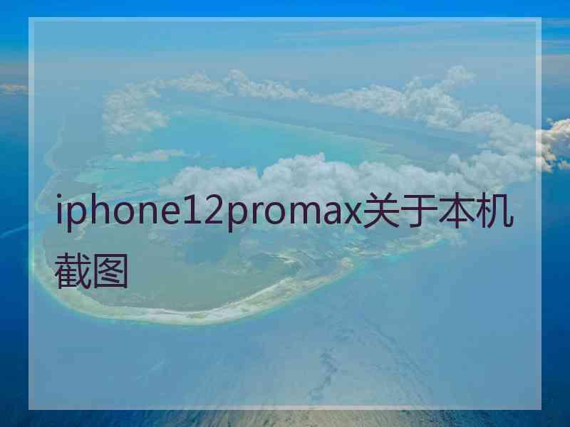 iphone12promax关于本机截图