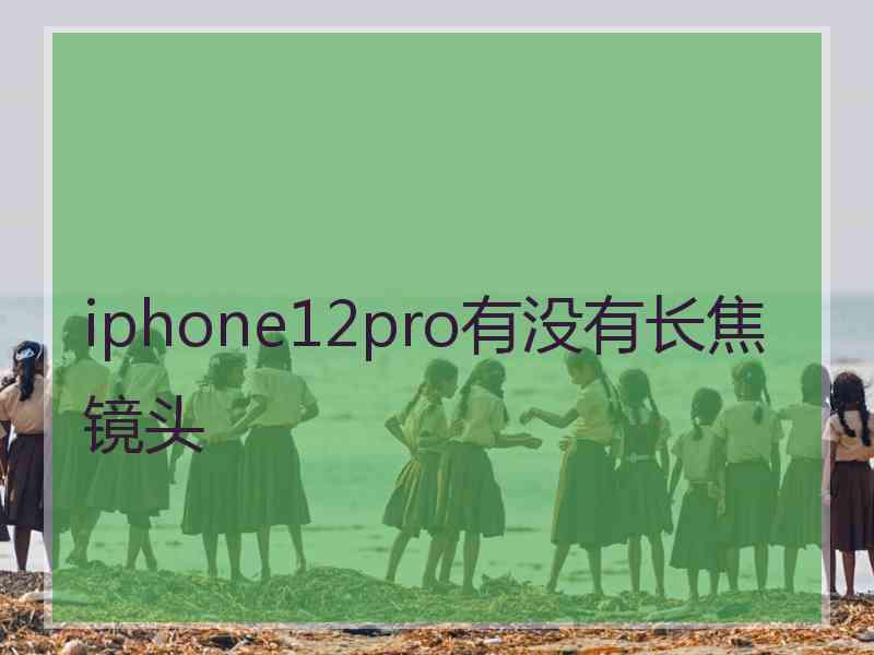 iphone12pro有没有长焦镜头