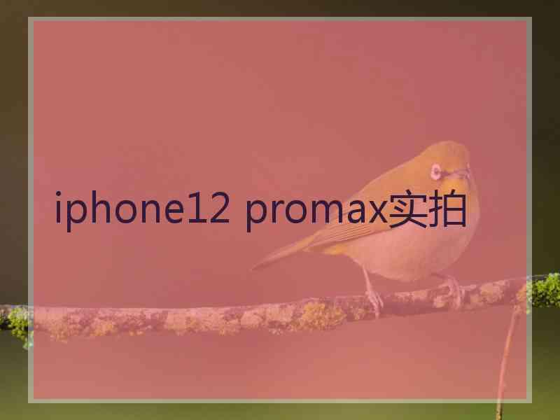 iphone12 promax实拍