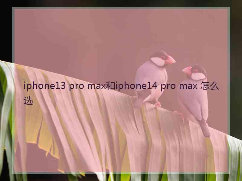 iphone13 pro max和iphone14 pro max 怎么选