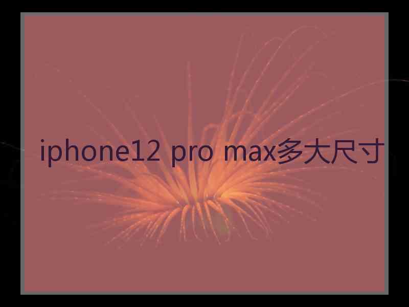 iphone12 pro max多大尺寸