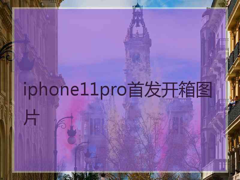 iphone11pro首发开箱图片