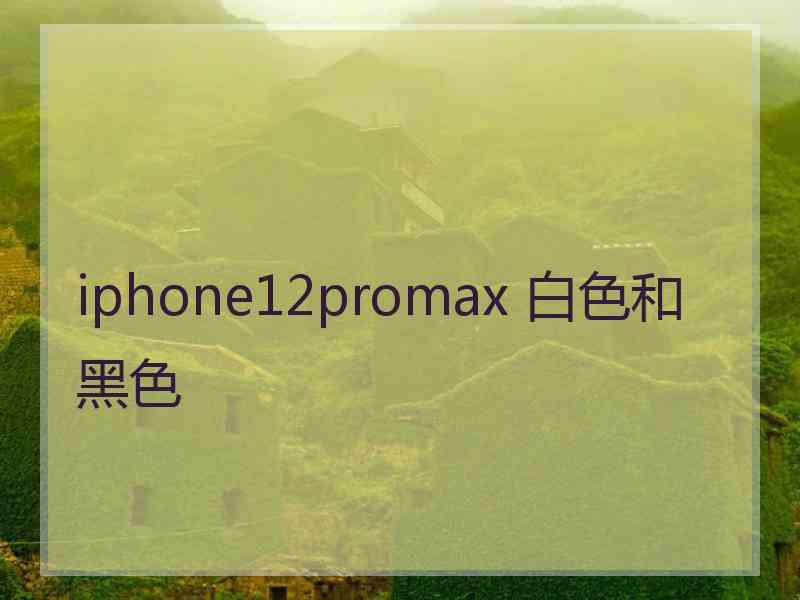 iphone12promax 白色和黑色