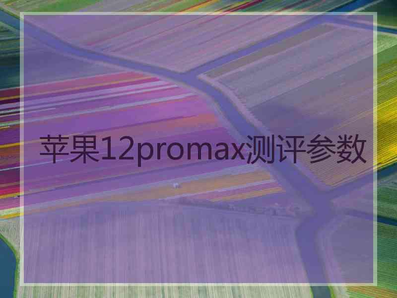 苹果12promax测评参数