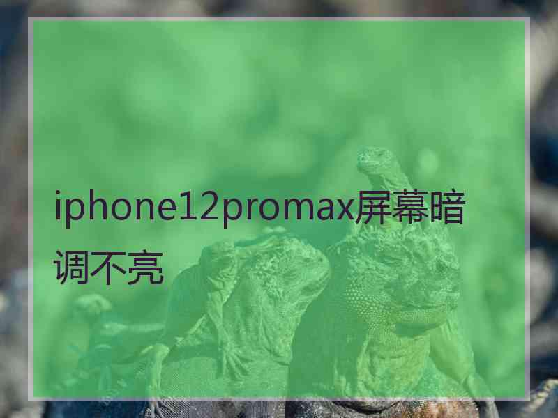 iphone12promax屏幕暗调不亮