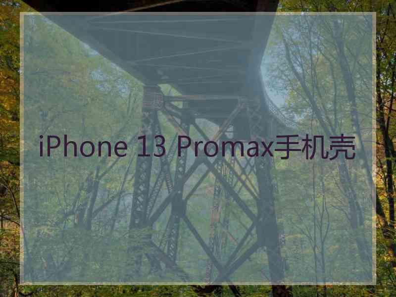 iPhone 13 Promax手机壳