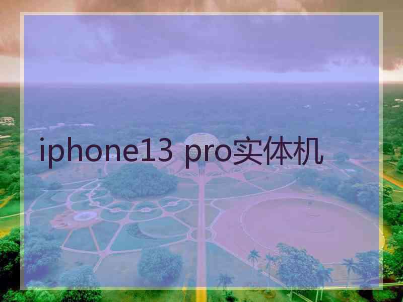 iphone13 pro实体机