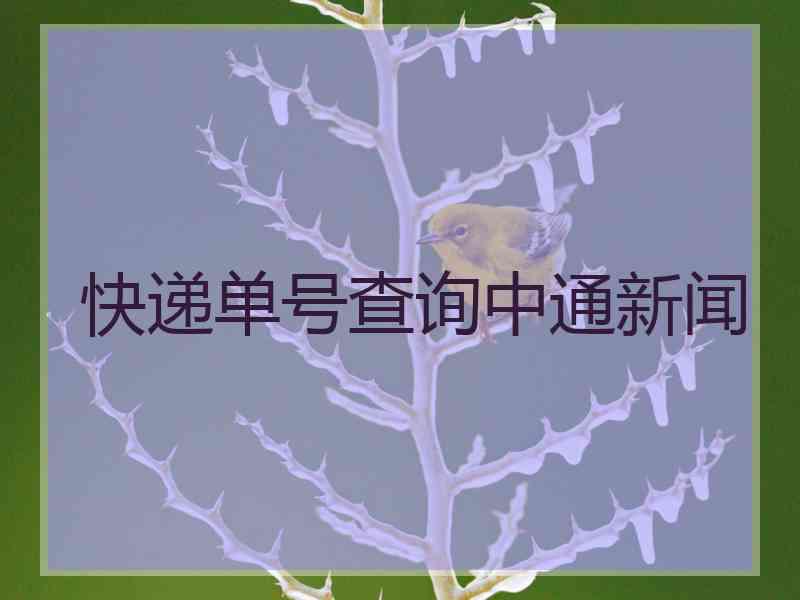 快递单号查询中通新闻