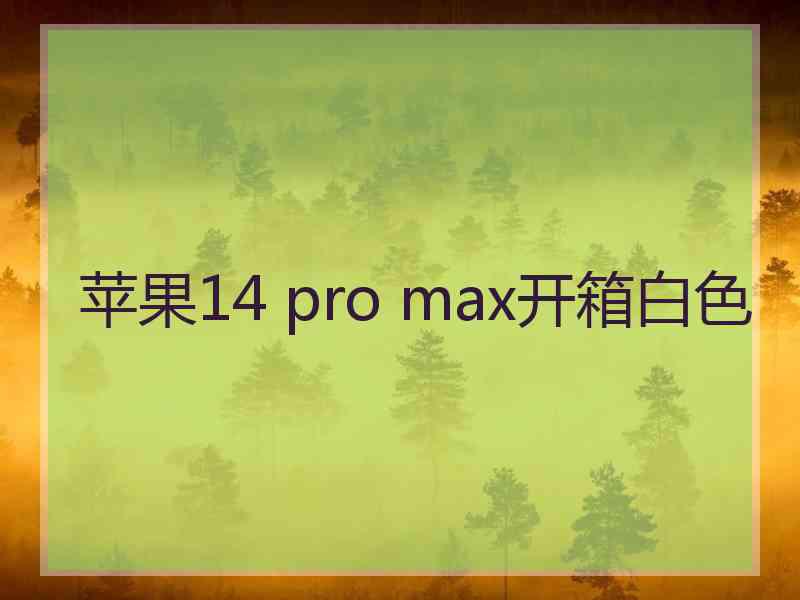 苹果14 pro max开箱白色