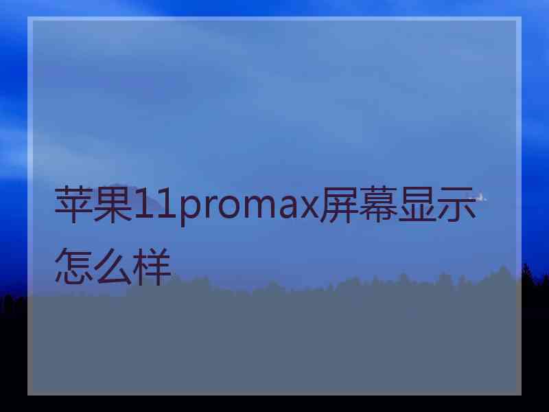 苹果11promax屏幕显示怎么样