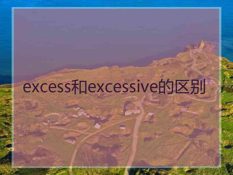 excess和excessive的区别