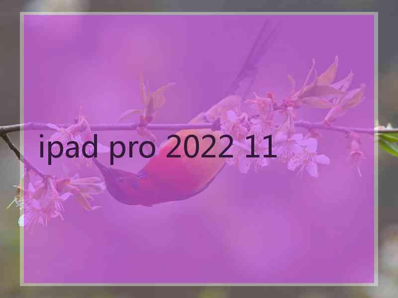 ipad pro 2022 11