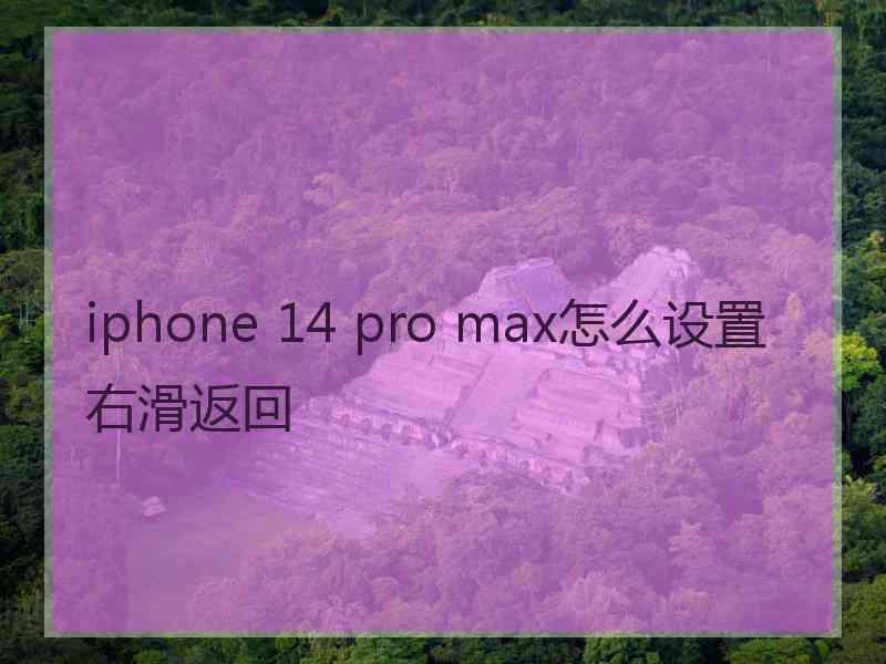 iphone 14 pro max怎么设置右滑返回