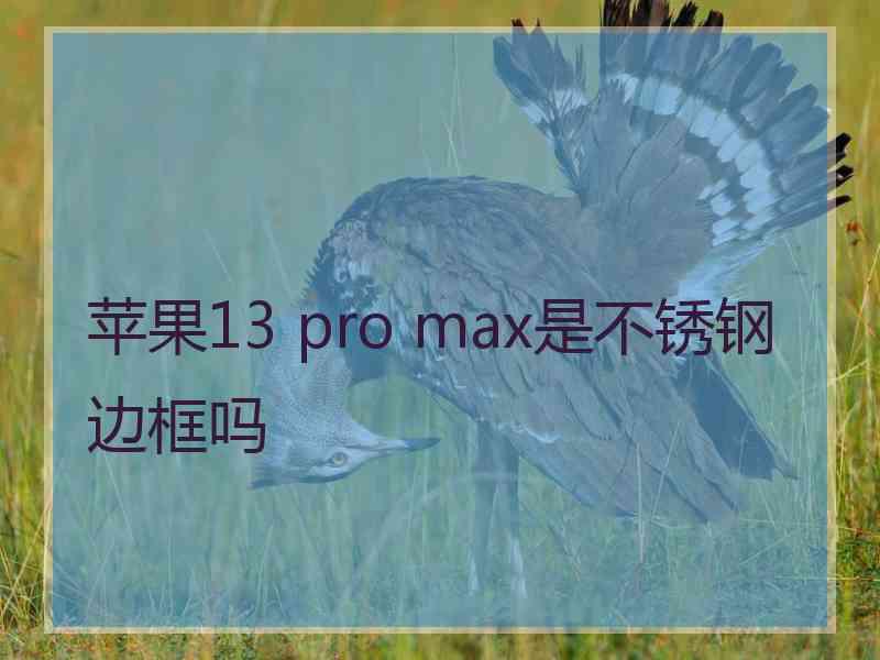 苹果13 pro max是不锈钢边框吗