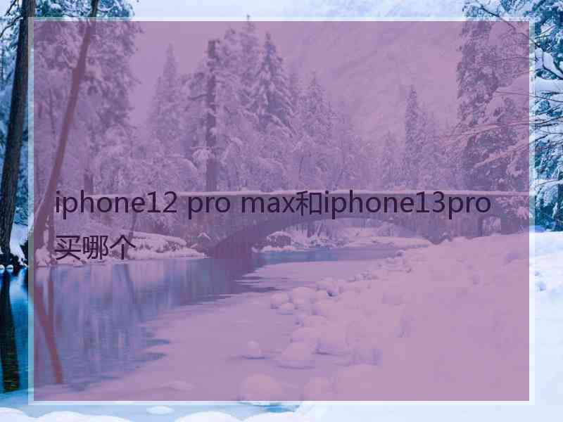 iphone12 pro max和iphone13pro买哪个