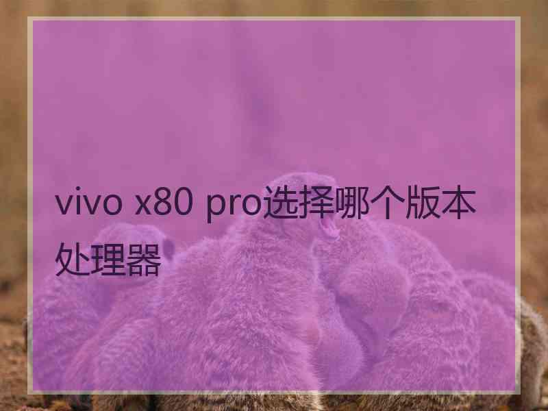 vivo x80 pro选择哪个版本处理器