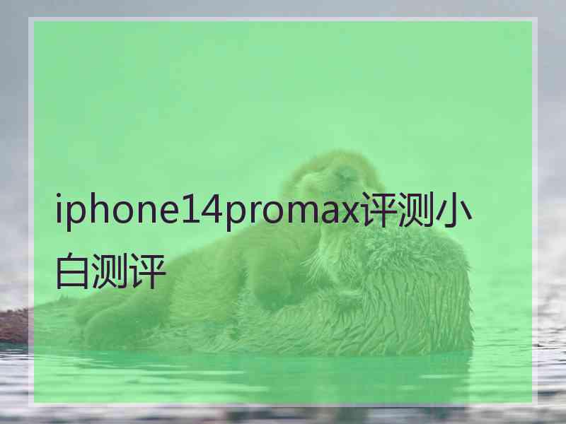 iphone14promax评测小白测评