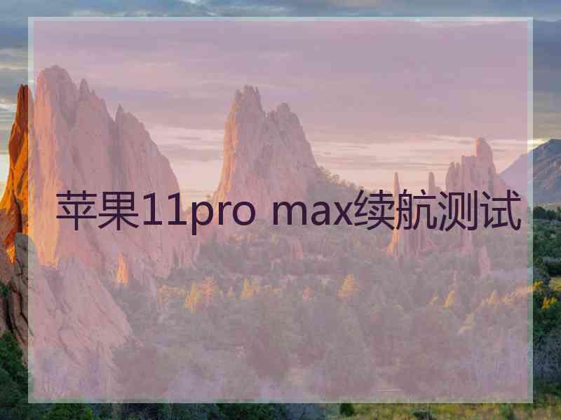 苹果11pro max续航测试