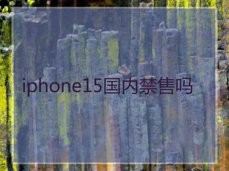 iphone15国内禁售吗