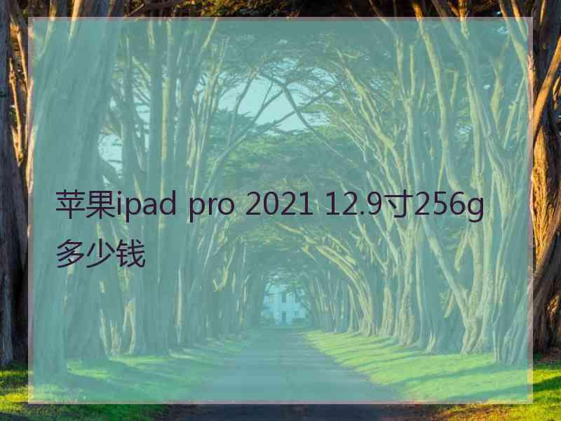 苹果ipad pro 2021 12.9寸256g多少钱