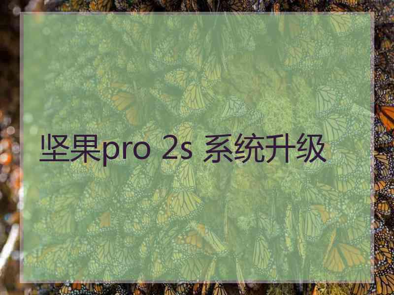 坚果pro 2s 系统升级