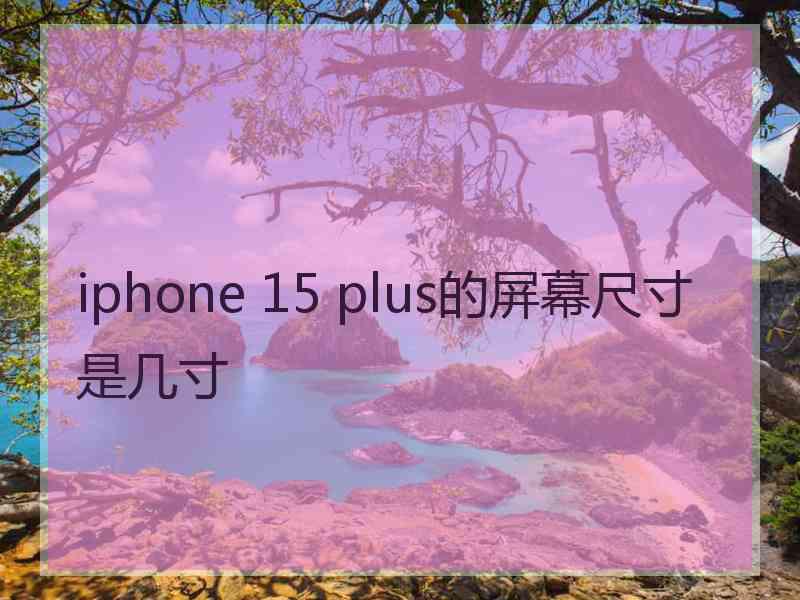 iphone 15 plus的屏幕尺寸是几寸