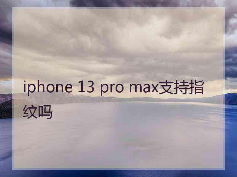 iphone 13 pro max支持指纹吗