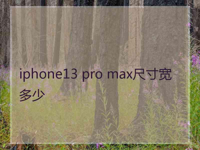 iphone13 pro max尺寸宽多少