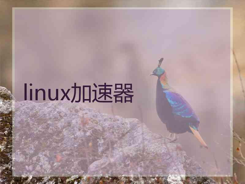 linux加速器