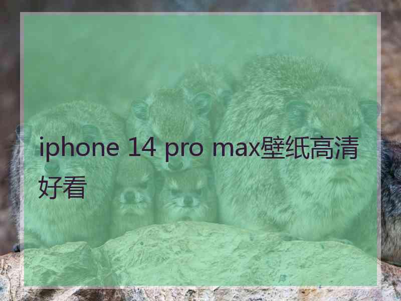 iphone 14 pro max壁纸高清好看