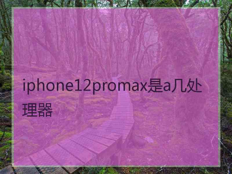 iphone12promax是a几处理器