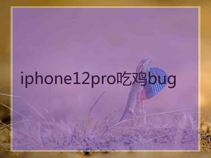 iphone12pro吃鸡bug