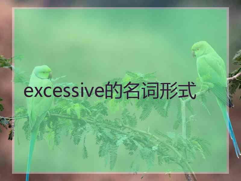 excessive的名词形式