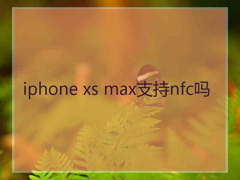 iphone xs max支持nfc吗